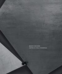 Book Cover for David Goldes by Pavel S Pys