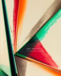 Book Cover for Leo Amino by Julie Amino, Aruna DSouza, Lucy Lippard, Wayne Koestenbaum, Susette Min, Neferti Tadiar, Mary Whitten
