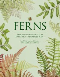 Book Cover for Ferns by FayWei Li, Jacob S Suissa