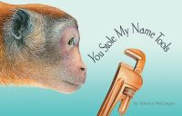 Book Cover for You Stole My Name Tools by Dennis Mcgregor