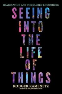 Book Cover for Seeing Into the Life of Things by Rodger Kamenetz