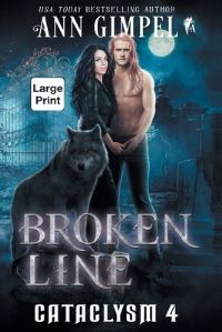 Book Cover for Broken Line by Ann Gimpel