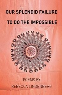 Book Cover for Our Splendid Failure to Do the Impossible by Rebecca Lindenberg