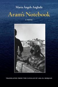 Book Cover for Aram's Notebook by Maria Àngels Anglada