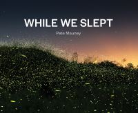 Book Cover for While We Slept by Pete Mauney