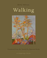 Book Cover for Walking by Sevgi Soysal, Maureen Freely