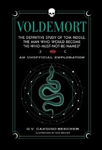 Book Cover for Voldemort by Grace CandidoBeecher