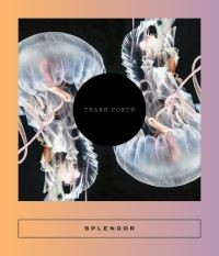 Book Cover for Splendor by 