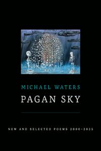 Book Cover for Pagan Sky by Michael Waters