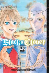 Book Cover for Black Clover. Vol. 22 by Yuki Tabata