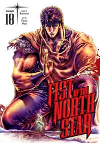 Book Cover for Fist of the North Star. 18 by Buronson