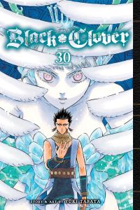 Book Cover for Black Clover. Vol. 30 by Yuki Tabata
