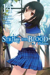 Book Cover for Strike the Blood. Volume 14 by Gakuto Mikumo