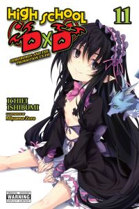 Book Cover for High School DxD. Volume 11 by Ichiei Ishibumi