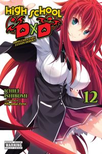 Book Cover for High School DxD. 12 by Ichiei Ishibumi