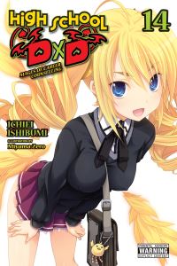 Book Cover for High School DxD, Vol. 14 (Light Novel) by Ichiei Ishibumi