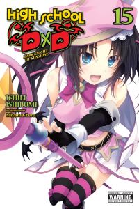 Book Cover for High School DxD. 15 by Ichiei Ishibumi