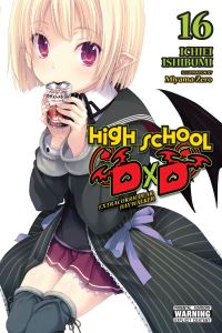 Book Cover for High School DxD. 16 by Ichiei Ishibumi