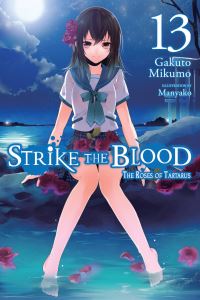 Book Cover for Strike the Blood Vol. 13 by Gakuto Mikumo