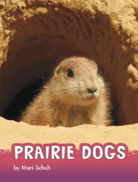 Book Cover for Prairie Dogs by Mari Schuh
