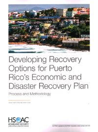 Book Cover for Developing Recovery Options for Puerto Rico's Economic and Disaster Recovery Plan by Rand Corporation