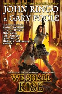 Book Cover for We Shall Rise by Inc Diamond Comic Distributors