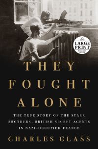 Book Cover for They Fought Alone by Charles Glass