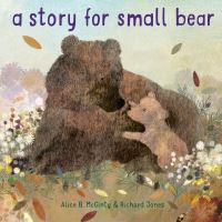 Book Cover for A Story for Small Bear by Alice B McGinty
