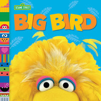 Book Cover for Big Bird by Andrea PosnerSanchez