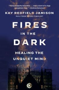 Book Cover for Fires in the Dark by Kay R Jamison