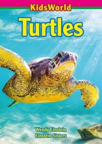 Book Cover for Turtles by Wendy Einstein