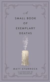 Book Cover for A Small Book of Exemplary Deaths by Matt Sturrock