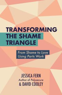 Book Cover for Transforming the Shame Triangle by Jessica Fern, David Cooley