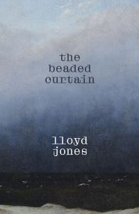 Book Cover for The Beaded Curtain by Lloyd Jones