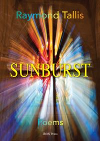 Book Cover for Sunburst by Raymond Tallis