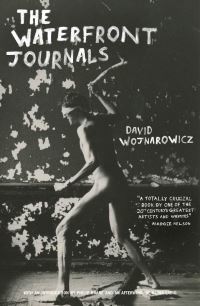 Book Cover for The Waterfront Journals by David Wojnarowicz
