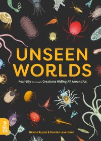 Book Cover for Unseen Worlds by Hélène Rajcak, Damien Laverdunt
