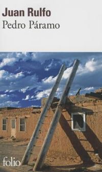 Book Cover for Pedro Paramo by Carole Martinez