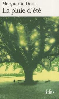 Book Cover for Pluie D'ete by Marguerite Duras
