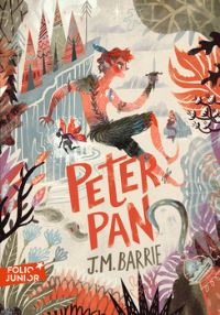 Book Cover for Peter Pan by J M Barrie