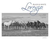Book Cover for Lorenzo Black & White by Luisine Dessagne