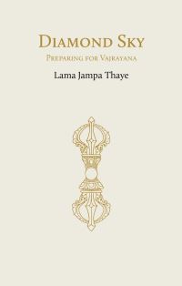 Book Cover for DIAMOND SKY by JAMPA THAYE