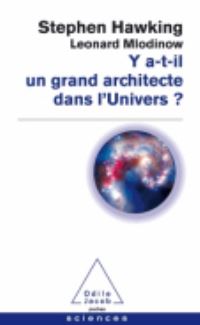 Book Cover for Y A-T'il Un Grand Architecte Dans L'univers by Stephen Hawking