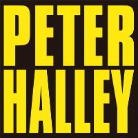 Book Cover for Peter Halley by Jo Melvin