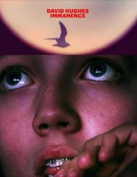Book Cover for Impermanence by David Hughes
