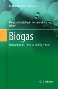 Book Cover for Biogas by Meisam Tabatabaei, Hossein Ghanavati