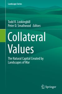 Book Cover for Collateral Values by Todd R Lookingbill, Peter D Smallwood