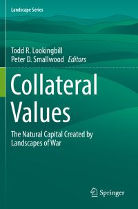 Book Cover for Collateral Values by Todd R Lookingbill, Peter D Smallwood