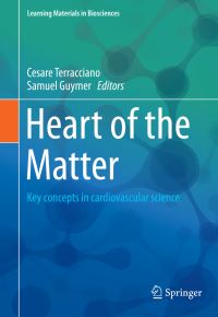 Book Cover for Heart of the Matter by Cesare Terracciano, Samuel Guymer