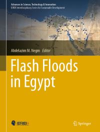 Book Cover for Flash Floods in Egypt by Abdelazim M Negm